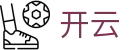 Kaiyun-开云（中国）官方网站,KAIYUN SPORTS